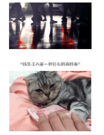 d.jpg